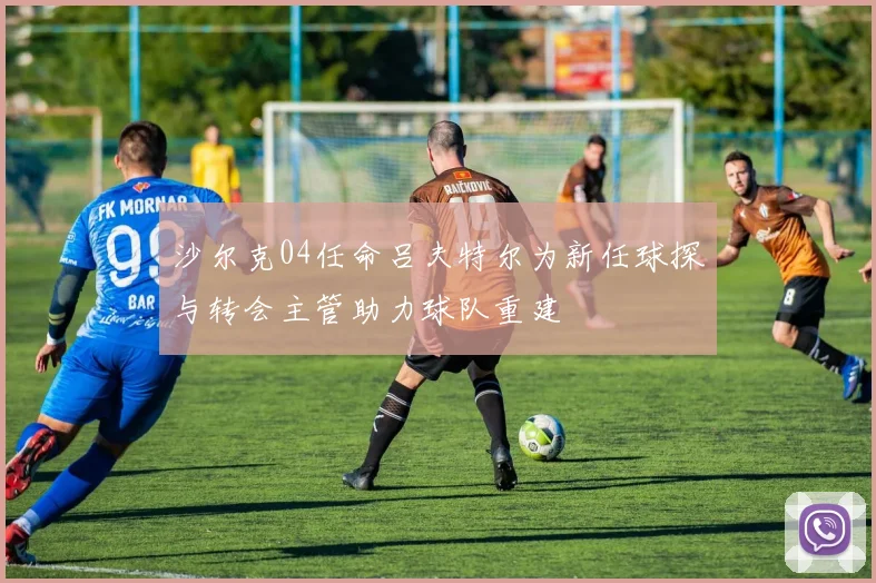 沙尔克04任命吕夫特尔为新任球探与转会主管助力球队重建